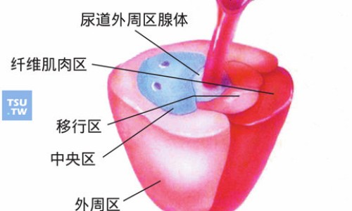 致康胶囊的作用-致康胶囊的功能与主治网 - 为你提供致康胶囊的功能与主治是什么、致康胶囊的功能与主治作用