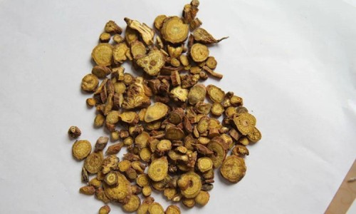 致康胶囊的功能与主治作用-致康胶囊的功能与主治网 - 为你提供致康胶囊的功能与主治是什么、致康胶囊的功能与主治作用
